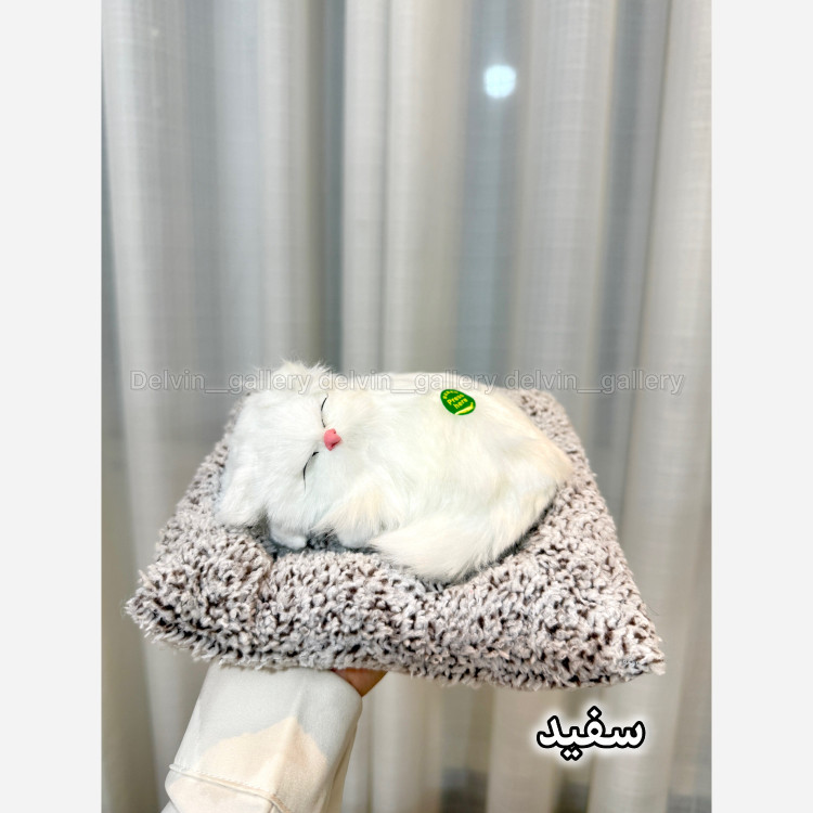 عروسک گربه پولیشی خارجی موزیکال (مدل خوابیده)